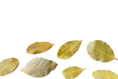 Beyaz arkaplanda kurumuş körfez yaprakları.