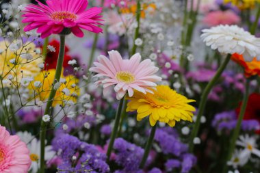Güzel çiçek buketi, çiçek arkaplanı.