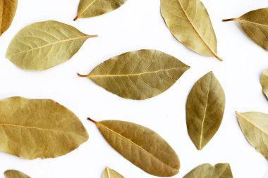 Beyaz arkaplanda kurumuş körfez yaprakları.