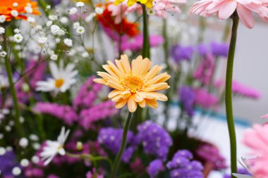 Güzel çiçek buketi, çiçek arkaplanı.