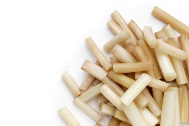 Beyaz arkaplanda taze nilüfer kökü.