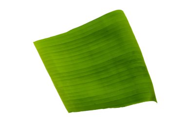 Beyaz arkaplanda muz yaprakları.