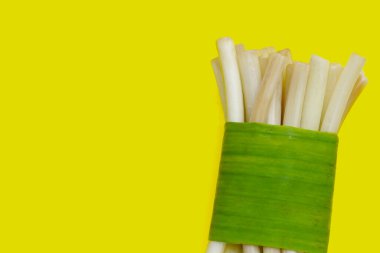 Sarı zemin üzerinde taze nilüfer kökü.