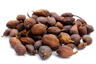 Siyah Kakule ya da Büyük Kakule