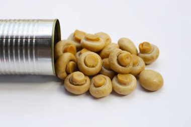 Salamura mantar. Konserve şampiyon mantarları.