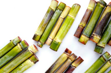 Beyaz arkaplanda taze şeker kamışı.