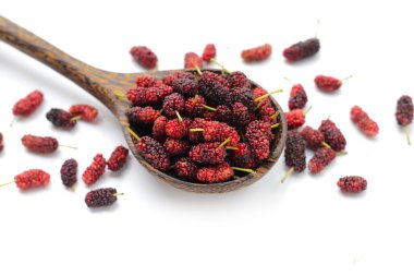 Beyaz arka planda taze dut.