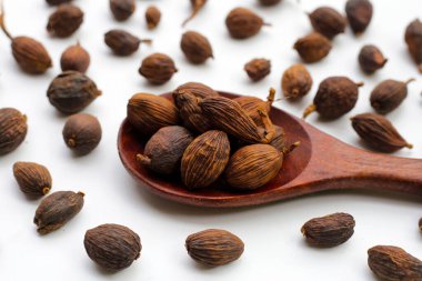 Siyah Kakule ya da Büyük Kakule