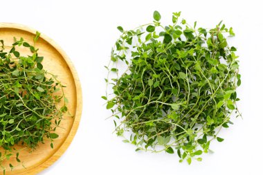 Beyaz arka plan üzerinde taze limon kekik.