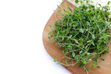 Beyaz arka plan üzerinde taze limon kekik.