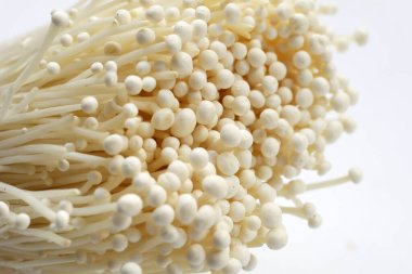 Beyaz arka plan üzerinde taze Enoki mantar