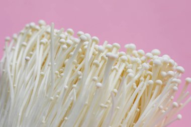 Pembe arka planda taze Enoki mantarları.