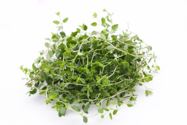 Beyaz arka plan üzerinde taze limon kekik.