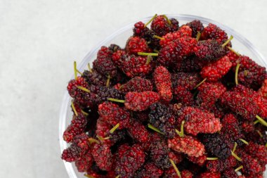 Beyaz arka planda taze dut.