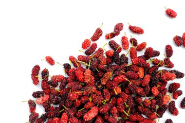 Beyaz arka planda taze dut.