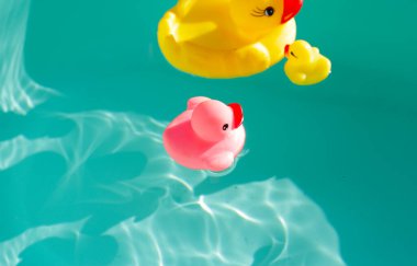 lastik ördek mavi su