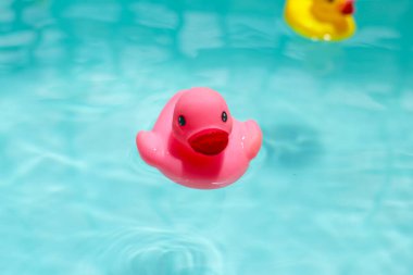 Mavi sularda yüzen sevimli pembe ve sarı plastik ördekler.