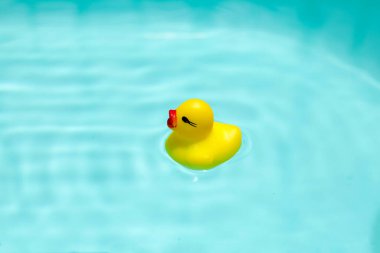 Mavi suda yüzen sevimli sarı plastik ördek.