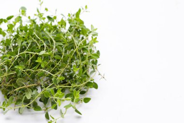 Beyaz arka plan üzerinde taze limon kekik.