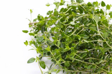 Beyaz arka plan üzerinde taze limon kekik.