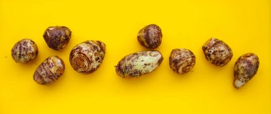 Satoimo, taro kökü veya Japon tatlısı taro.