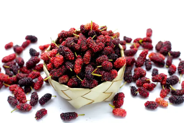 stock image Fresh mulberry on white background.