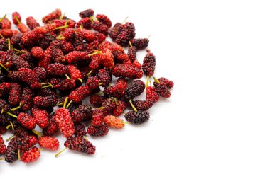 Beyaz arka planda taze dut.