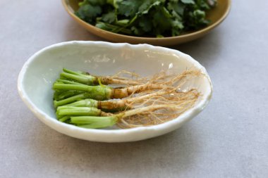 Taze organik kişniş, kökleri olan yapraklar. Sebze ve bitkiler.