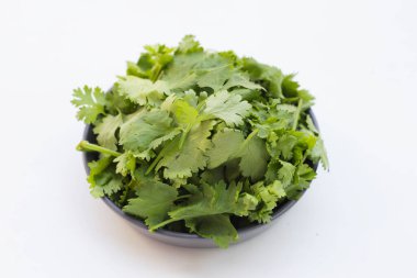 Taze organik kişniş, sebze ve otlar.