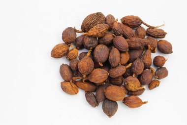 Siyah Kakule ya da Büyük Kakule