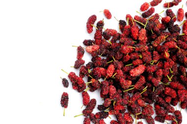 Beyaz arka planda taze dut.