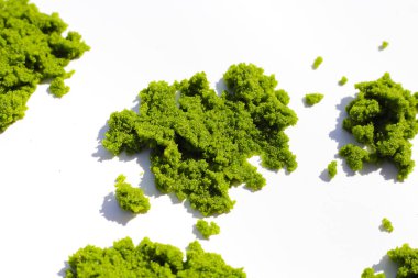 Wolffia globosa veya bataklık yosunu, su yemeği