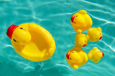 lastik ördek mavi su