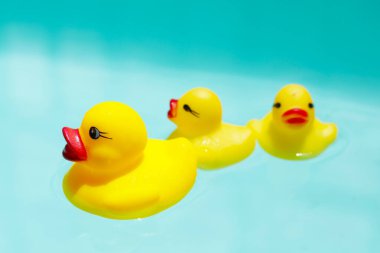 Mavi suda yüzen sevimli sarı plastik ördekler.