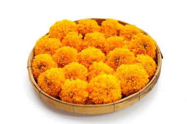 Güzel sarı kadife çiçekleri