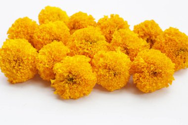 Güzel sarı kadife çiçekleri