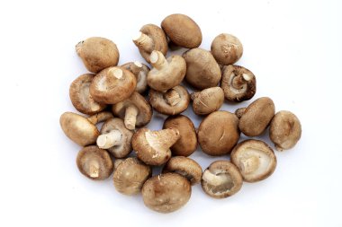 Beyaz arka planda taze shiitake mantarları.