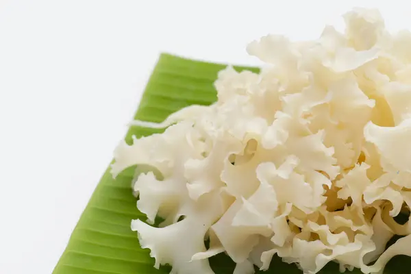 stock image Cauliflower mushroom or cauliflower fungus