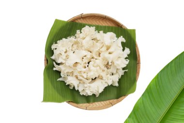 Karnabahar mantarı veya karnabahar mantarı