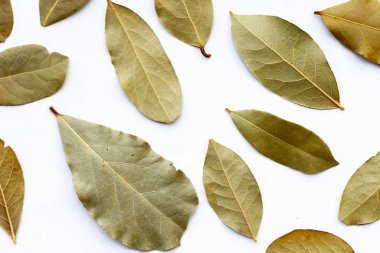 Beyaz arkaplanda kurumuş körfez yaprakları.