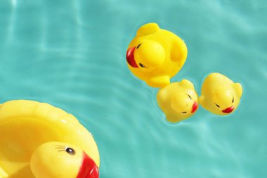 lastik ördek mavi su