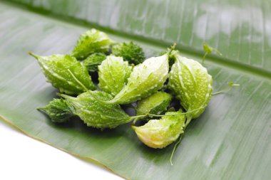 Balsam armudu, acı salatalık, cüzzam kabağı.