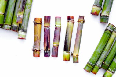 Beyaz arkaplanda taze şeker kamışı.