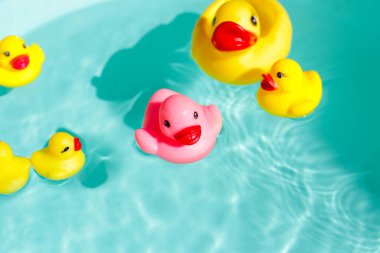 lastik ördek mavi su