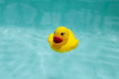 Mavi suda yüzen sevimli sarı plastik ördek.