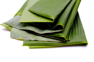 yeşil muz yaprakları