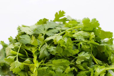 Taze organik kişniş, sebze ve otlar.