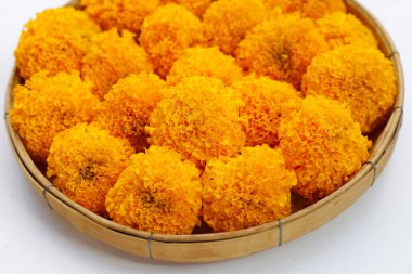 Güzel sarı kadife çiçekleri