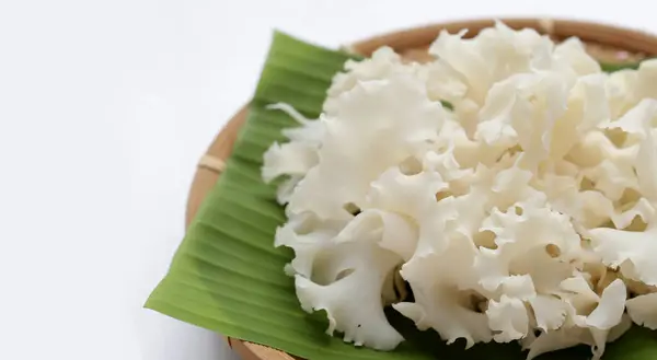 stock image Cauliflower mushroom or cauliflower fungus