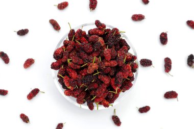 Beyaz arka planda taze dut.